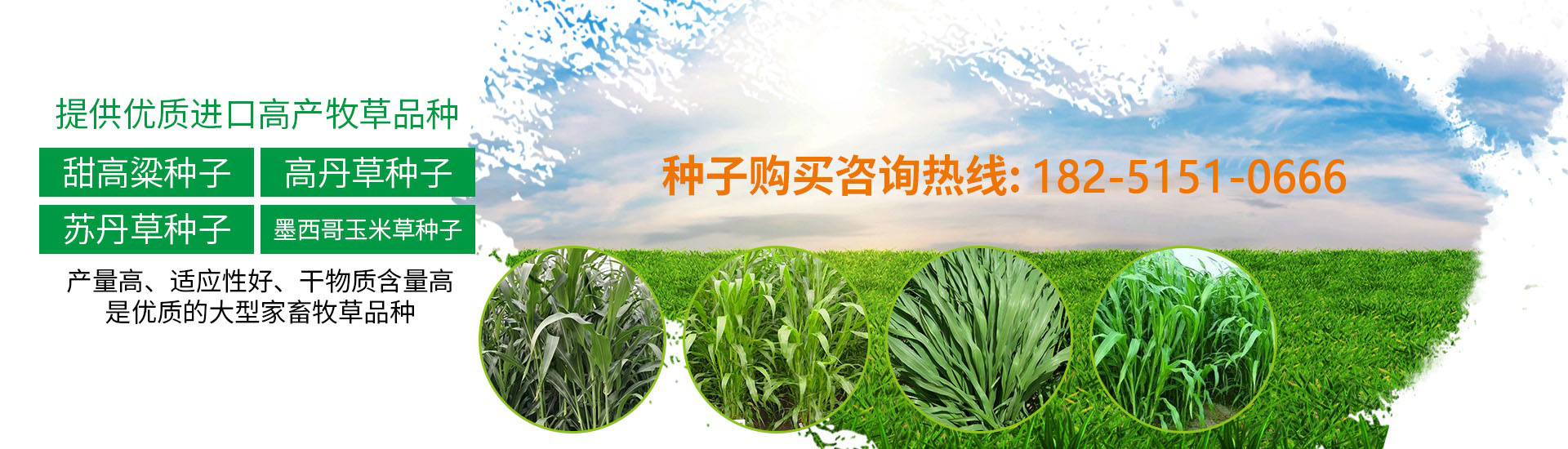 沐草匯園林網(wǎng)